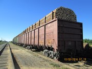 Балансы,  пиловочник,  обрезной пиломатериал